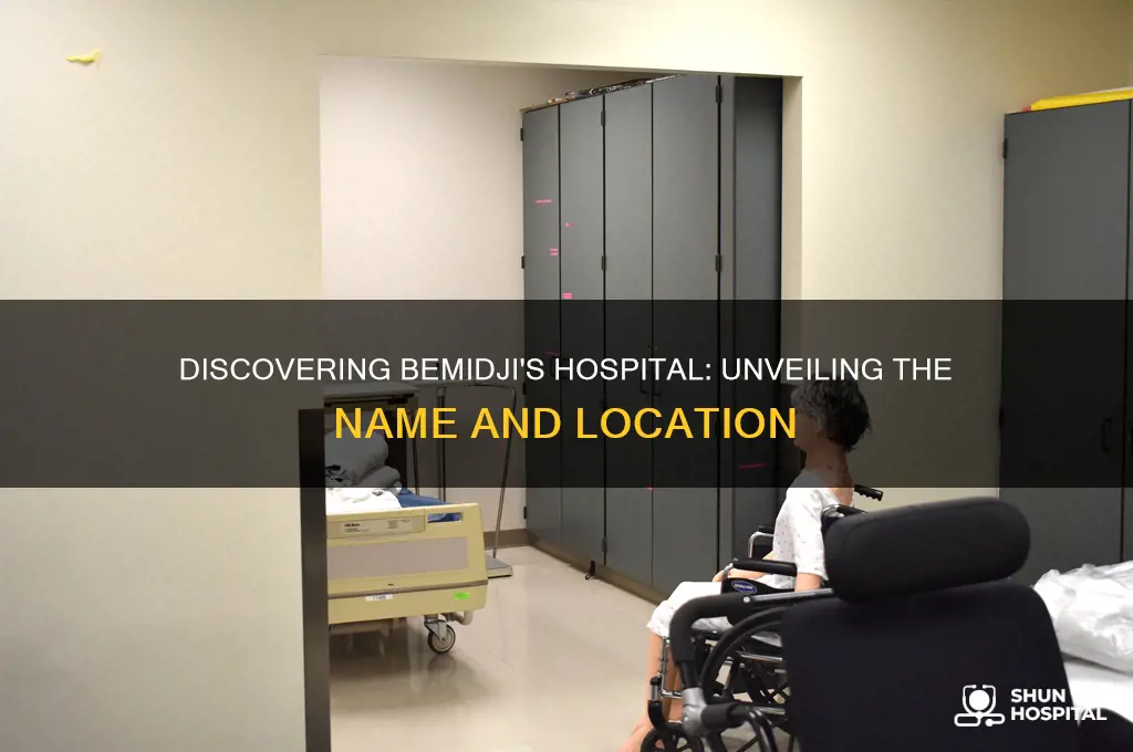 what is the name of the hospital in bemidji