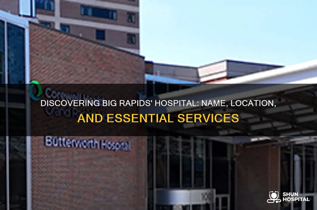 what is the name of the hospital in big rapids