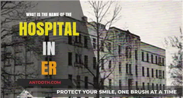 Exploring the Iconic Hospital Name in ER: County General Unveiled