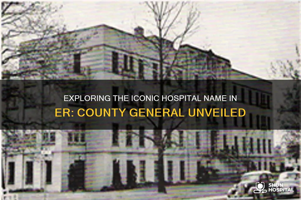 what is the name of the hospital in er