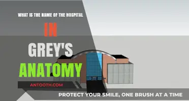 Unveiling Grey's Anatomy's Iconic Hospital: Name and Legacy Explored