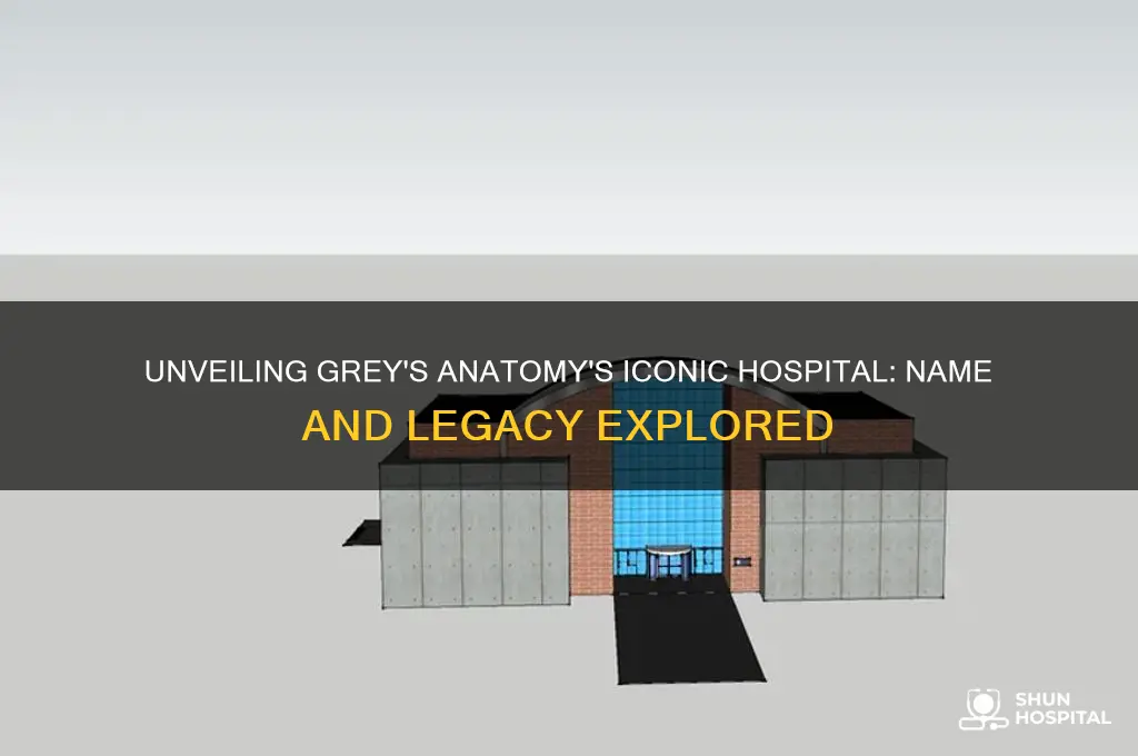 what is the name of the hospital in grey