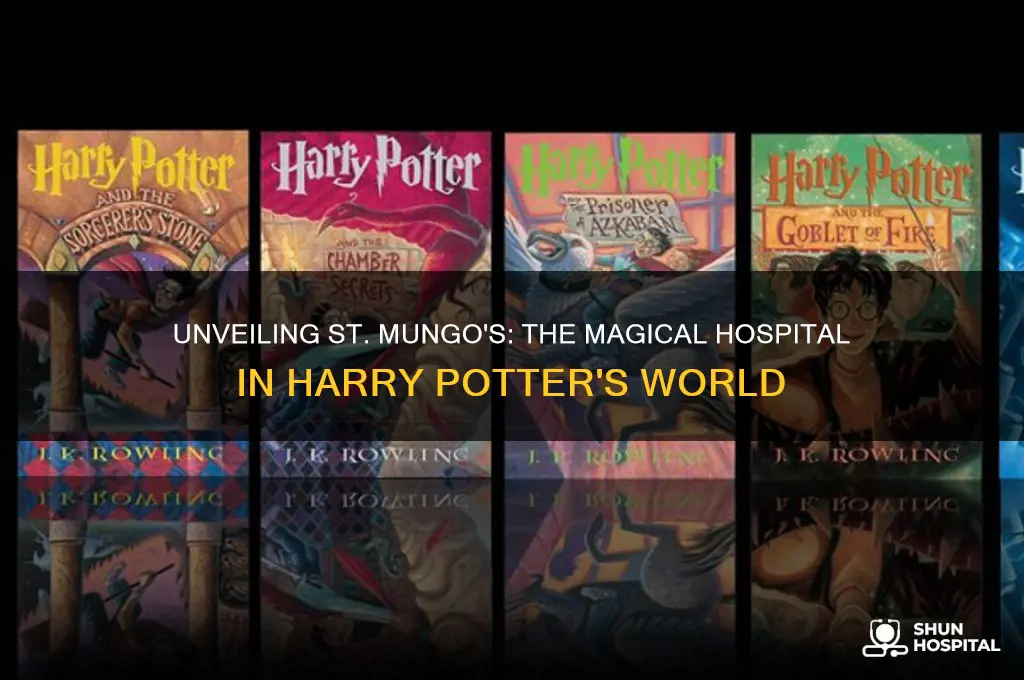 what is the name of the hospital in harry potter