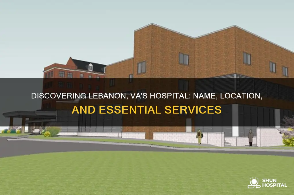 what is the name of the hospital in lebanon va