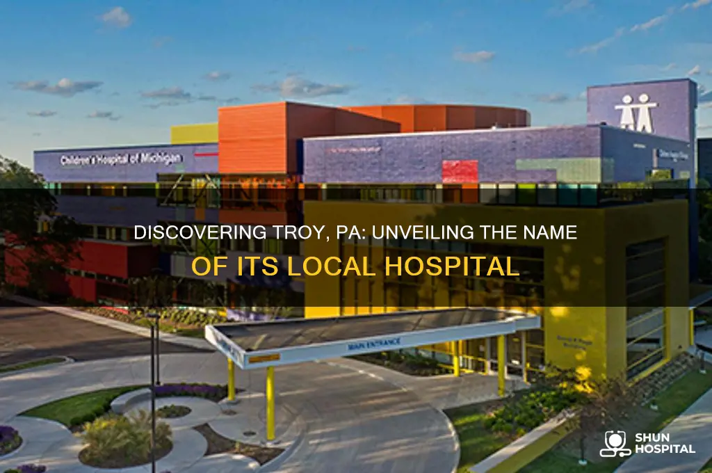 what is the name of the hospital in troy pa