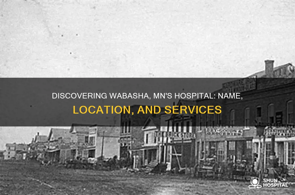 what is the name of the hospital in wabasha mn