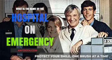 Unveiling the Name of the Hospital Featured on Emergency