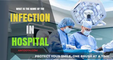 Understanding Hospital-Acquired Infections: Identifying the Common Culprits