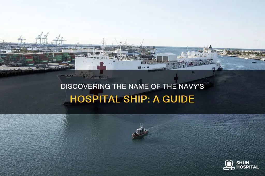 what is the name of the navy hospital ship