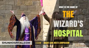 The Wizard's Infirmary: Unveiling the Magical Hospital's Mystical Name