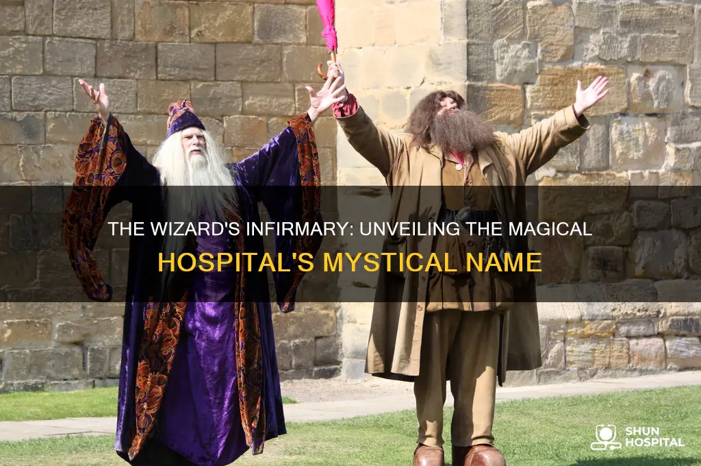 what is the name of the wizard