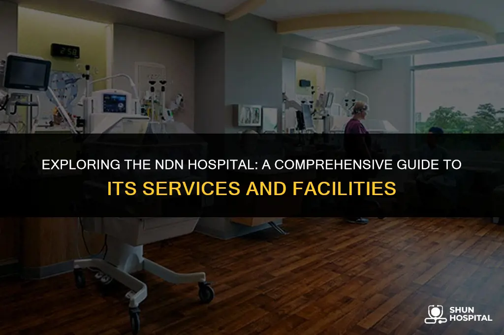 what is the ndn hospital