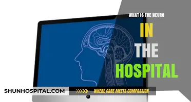 Neurology: Brain and Body Connection in Hospital Care