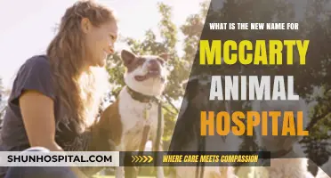 McCarty Animal Hospital Rebrands: Discover Its New Name and Vision