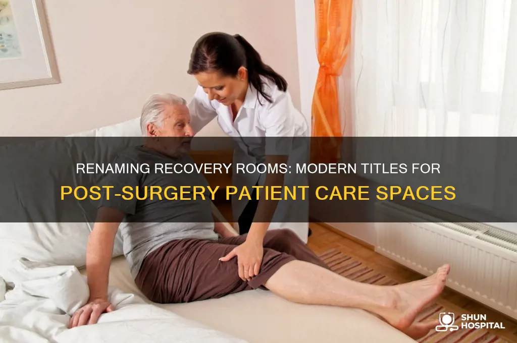 what is the new title for recovery room in hospitals