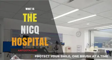 Exploring NICQ Hospital: A Comprehensive Guide to Its Services and Facilities