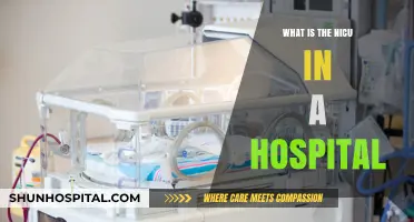 Understanding the NICU: A Hospital's Special Care Unit