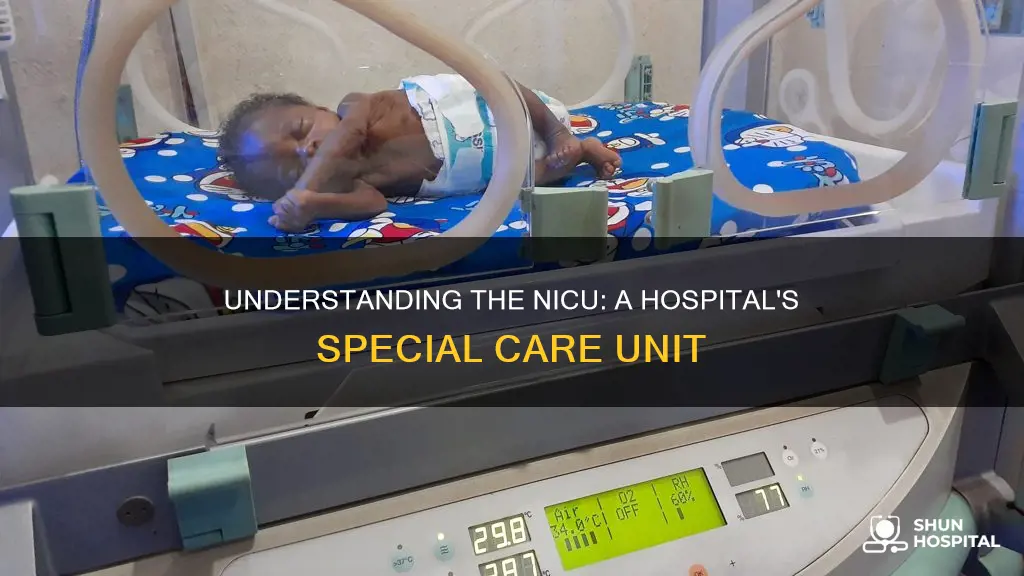 what is the nicu in a hospital