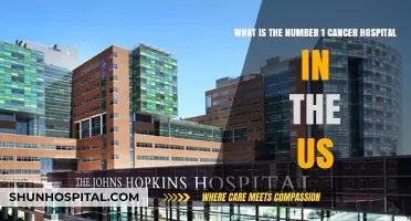 Top US Cancer Hospital: Unveiling the Nation's Leading Care Center