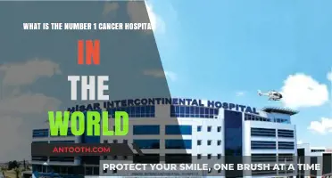 Discovering the World's Top Cancer Hospital: A Comprehensive Guide