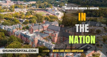 Discovering America's Top-Ranked Hospital: A Comprehensive Guide to Excellence