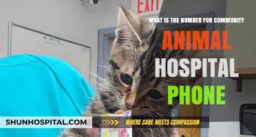 Contact Community Animal Hospital: Find Their Phone Number Easily