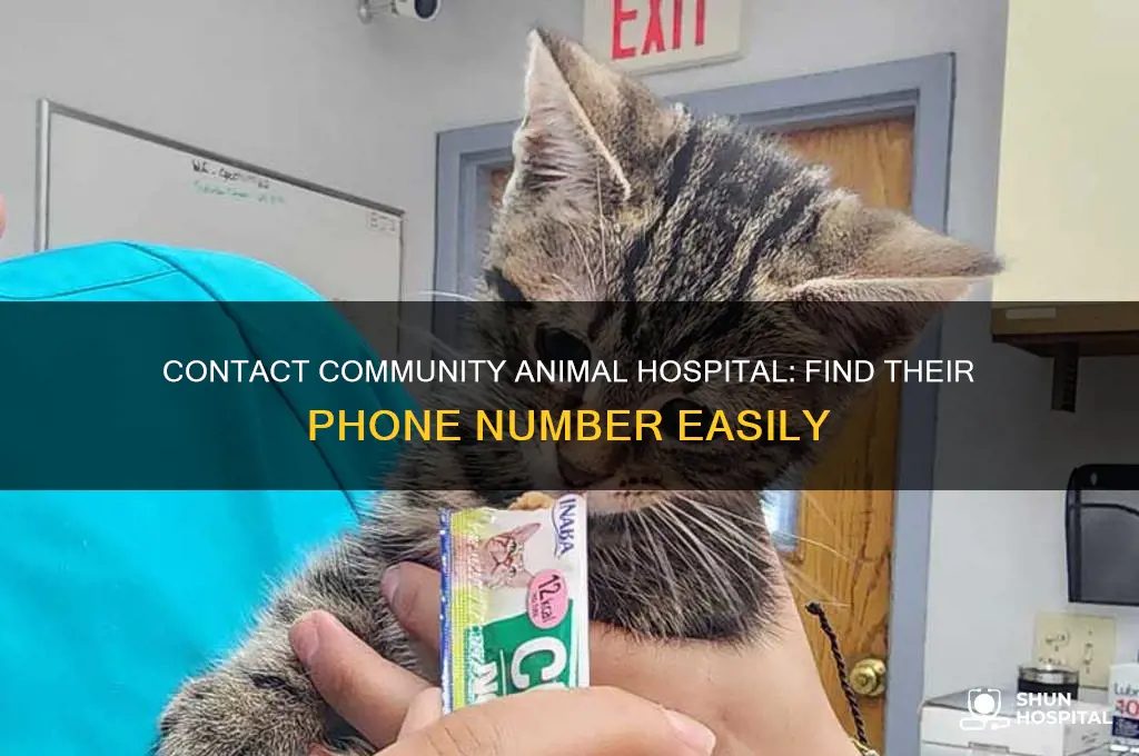 what is the number for community animal hospital phone