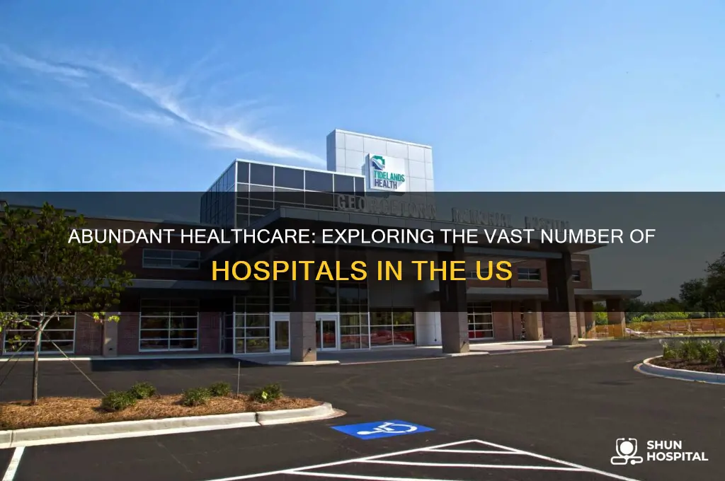 what is the number of hospitals in the us abundant
