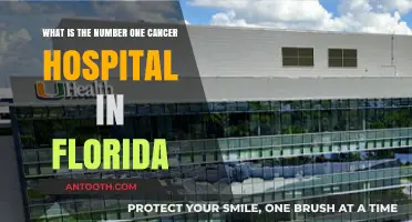 Top Florida Cancer Hospital: Leading Care and Innovation Revealed