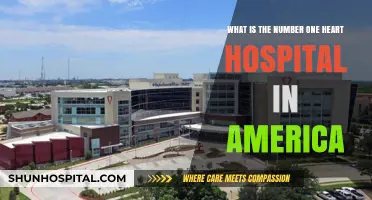America's Top Heart Hospital: Unveiling the Leading Cardiac Care Center