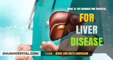Top Hospital for Liver Disease: Expert Care and Treatment Options