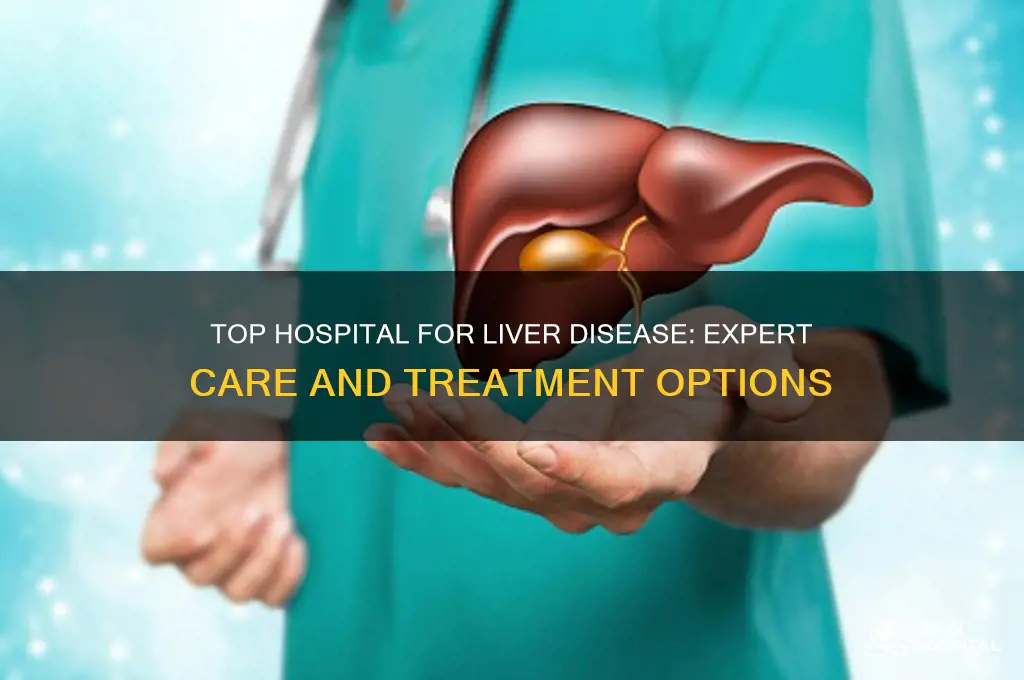 what is the number one hospital for liver disease