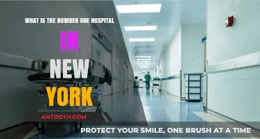 Discovering New York's Top-Rated Hospital: A Comprehensive Guide