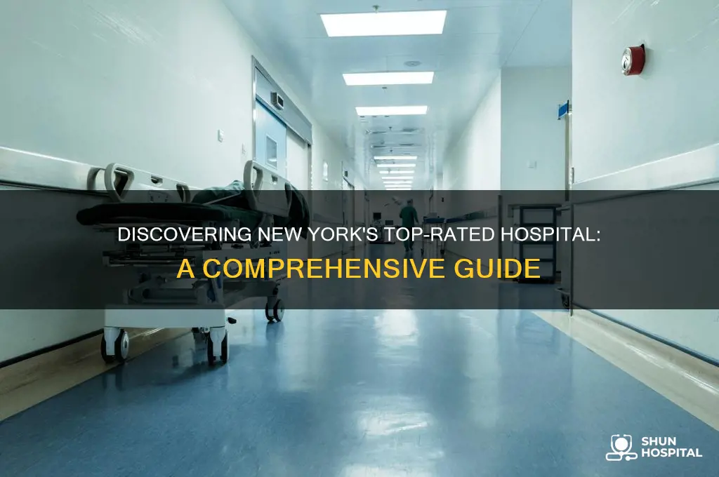 what is the number one hospital in new york
