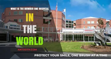 Discovering the World's Top Hospital: A Global Healthcare Leader