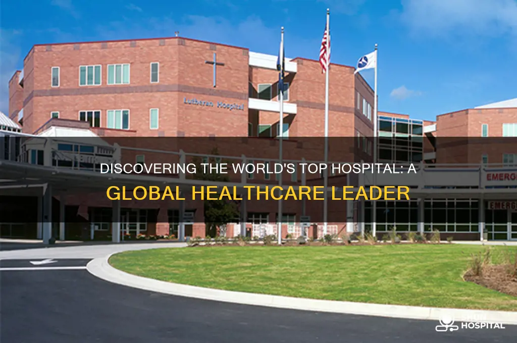 what is the number one hospital in the world