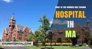 Massachusetts' Top Trauma Hospital: Expert Care and Life-Saving Excellence