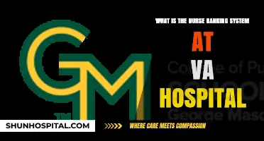 Understanding VA Hospital Nurse Ranking System: Roles, Levels, and Responsibilities
