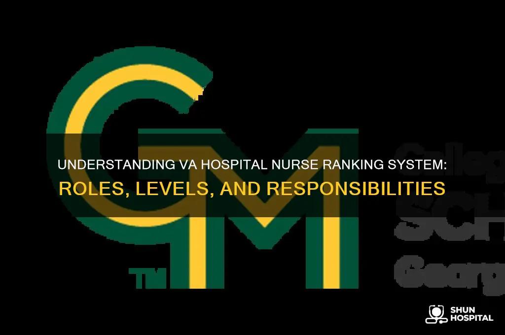 what is the nurse ranking system at va hospital
