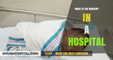 Hospital Nurseries: A Warm Welcome for Newborns