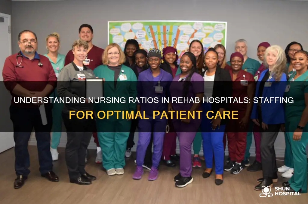 what is the nursing ratio in a rehab hospital