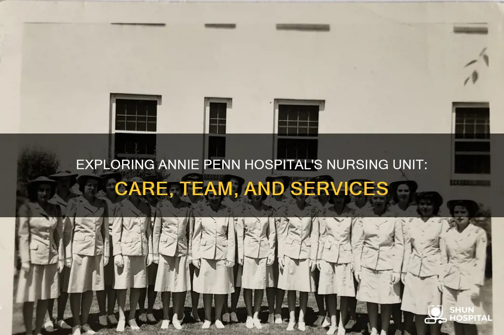 what is the nursing unit at annie penn hospital
