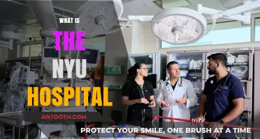 Exploring NYU Hospital: A Comprehensive Guide to Services and Facilities