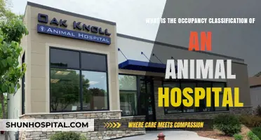 Understanding Animal Hospital Occupancy Classification: Key Guidelines and Requirements