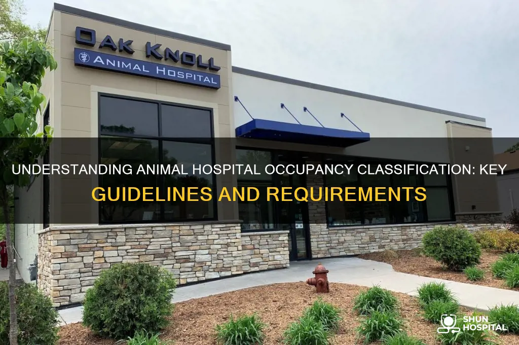 what is the occupancy classification of an animal hospital