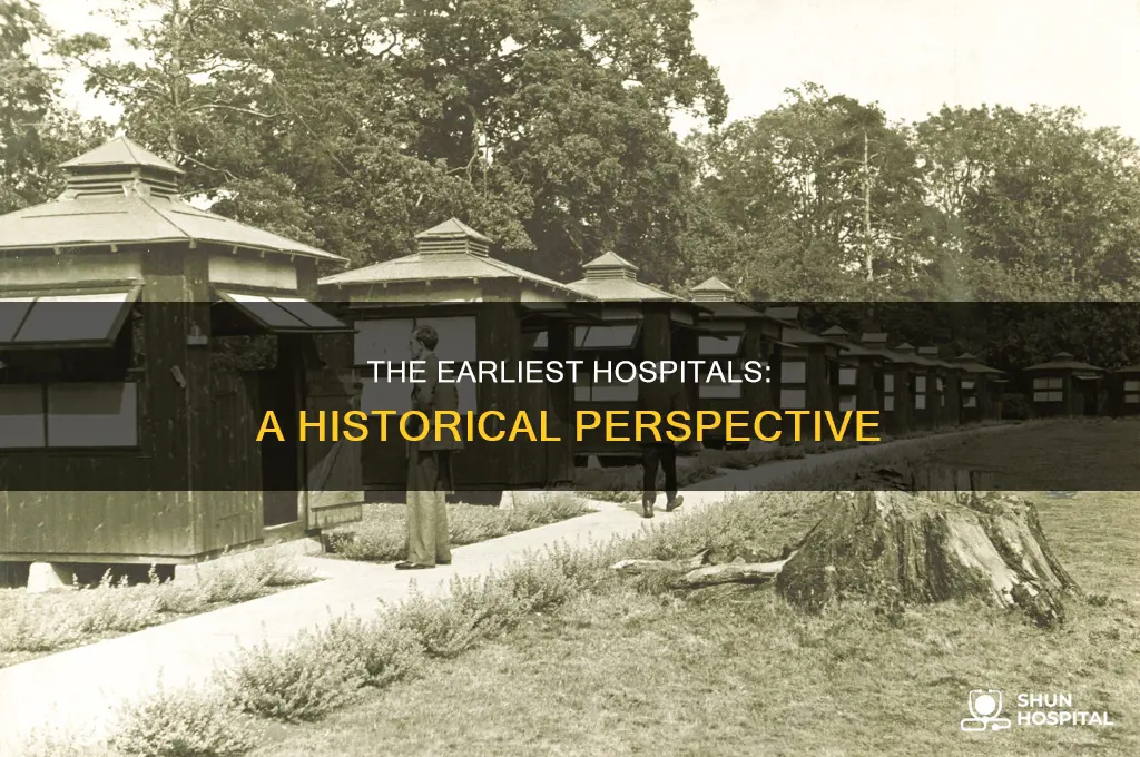 what is the oldest type of hospital