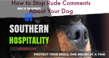 The North's Cold Shoulder: Opposite of Southern Hospitality