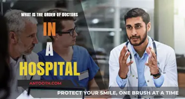 Understanding the Hierarchy: How Doctors Are Structured in Hospitals