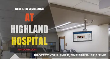 Highland Hospital: An Organizational Overview