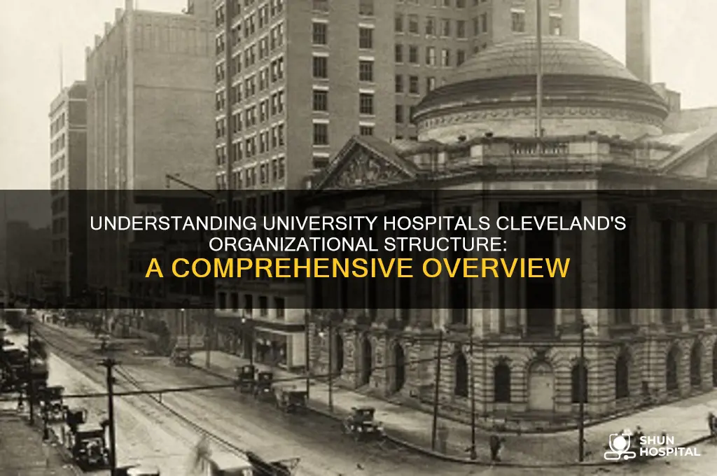 what is the organization structure of university hospitals cleveland